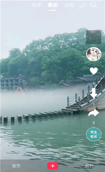 一张动态壁纸