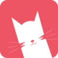 猫咪视频在线免费版