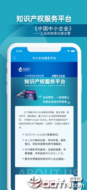 知识产权
