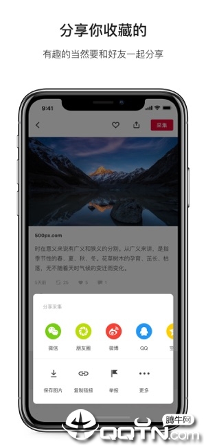 花瓣app苹果版