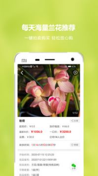 兰花交易网安卓版