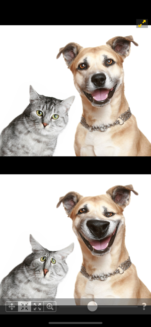 整容模拟器ios免费版截图1