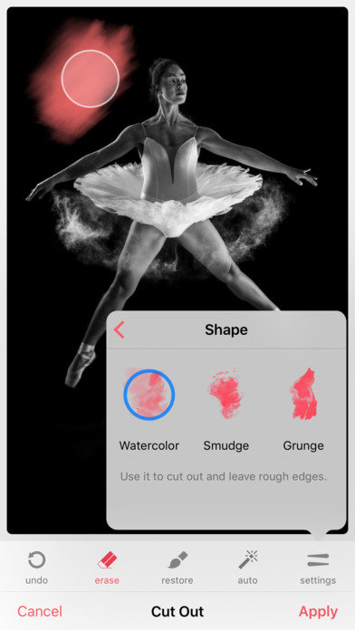 Bazaart ios免费版截图1