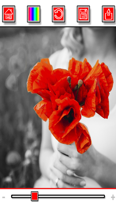 色彩效果的照片编辑器ios完整版截图1