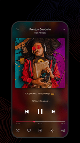 fiio music破解版截图1