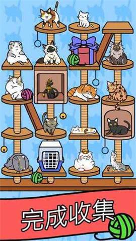 猫咪公寓2 破解版截图1