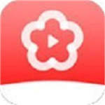 梅花视频破解版