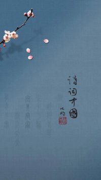 诗词中国去广告版截图2