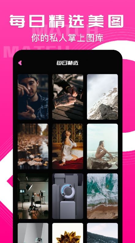 小鸟主题壁纸会员版截图1