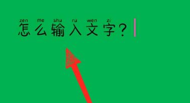 WPS Office官方版怎么输入文字?WPS Office官方版输入文字的方法截图