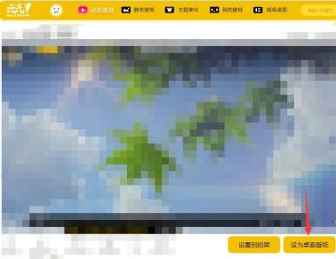 元气桌面如何设置动态壁纸?元气桌面设置动态壁纸的方法截图