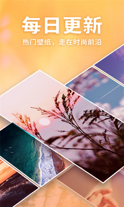 画壁完整版截图1