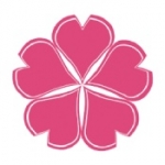 梅花视频在线播放版