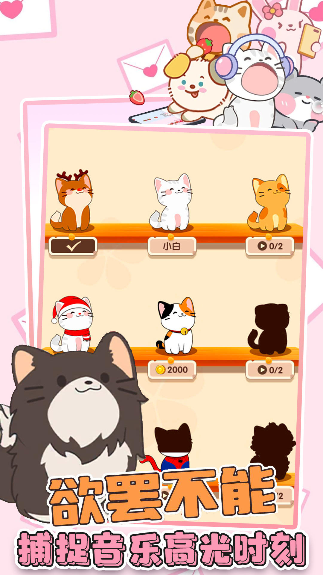猫咪音乐双重奏精简版截图1