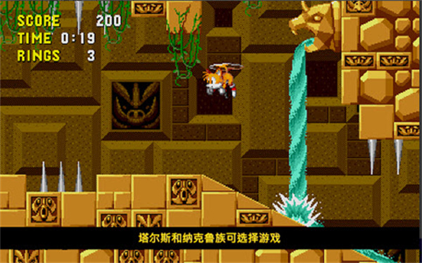 刺猬索尼克精简版截图1