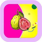 芭乐视频在线高清版