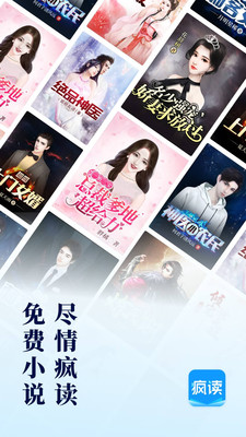 疯读小说在线阅读版截图1