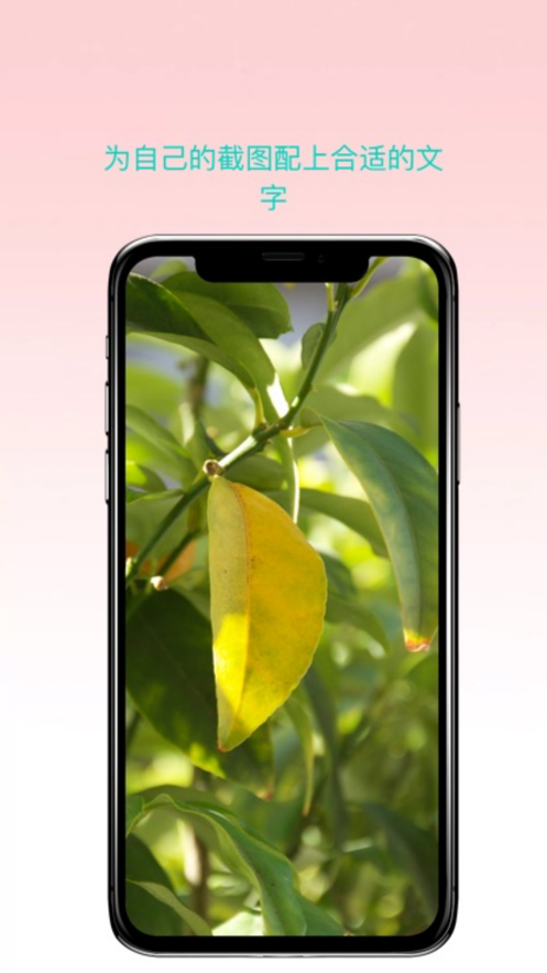 曲奇截屏ios完整版截图1