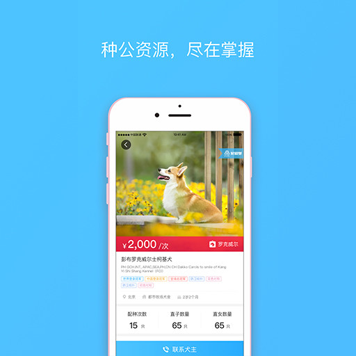 宠爱堡ios完整版截图1