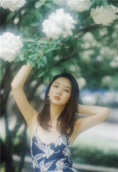 丝瓜草莓樱桃向日葵小猪安卓版