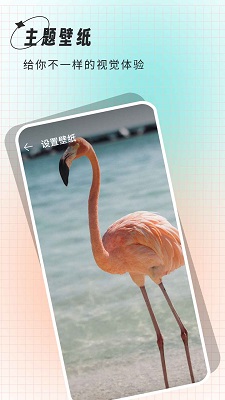 克拉壁纸安卓版