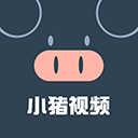 站长统计app进入网址安卓版