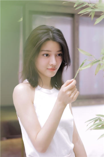 青青草向日葵丝瓜草莓秋葵大全安卓版